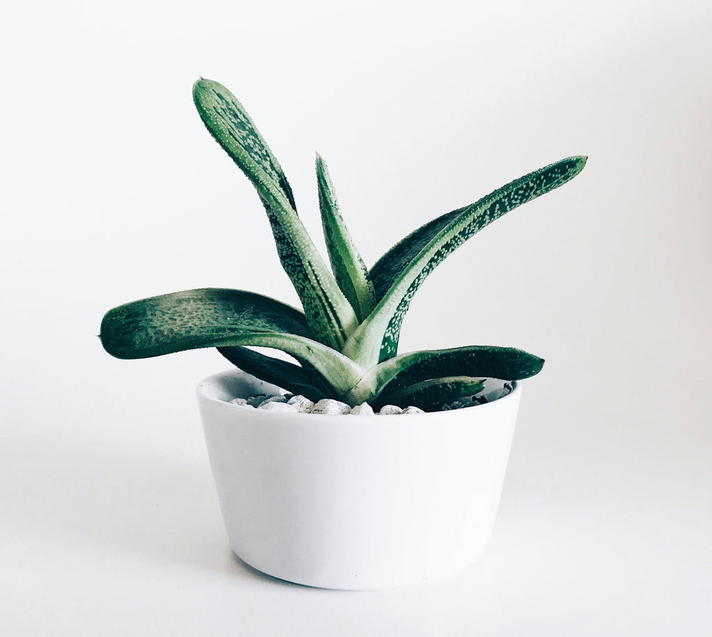 Product title
